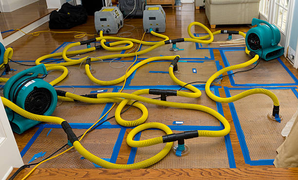 Professional Crawl Space Water Removal technician working in Trenton, NJ